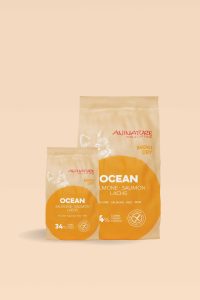 Scopri di più sull'articolo OCEAN