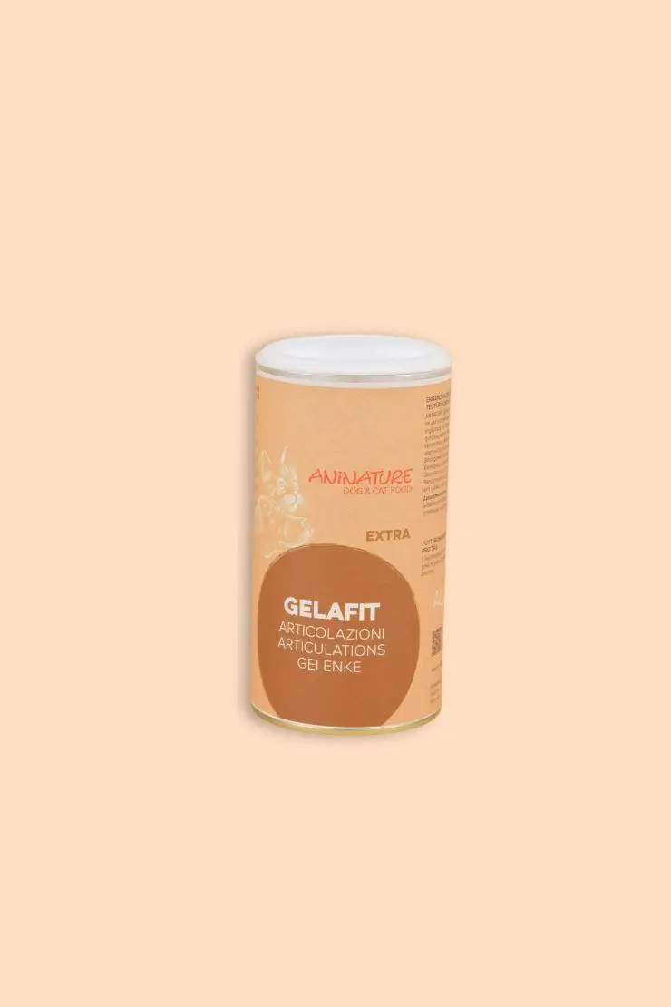 Al momento stai visualizzando GELAFIT